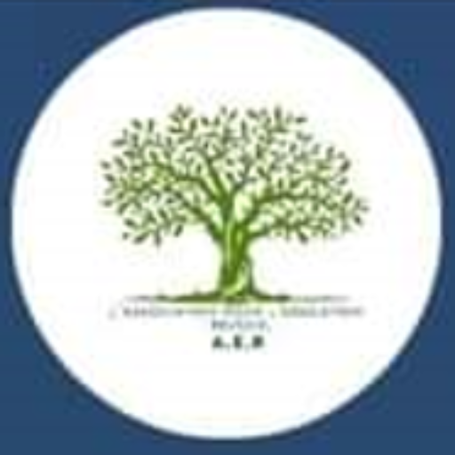 ASSOCIATION POUR L'EDUCATION REUSSIE(AER)